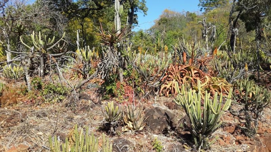 Ewanrigg Botanic Gardens